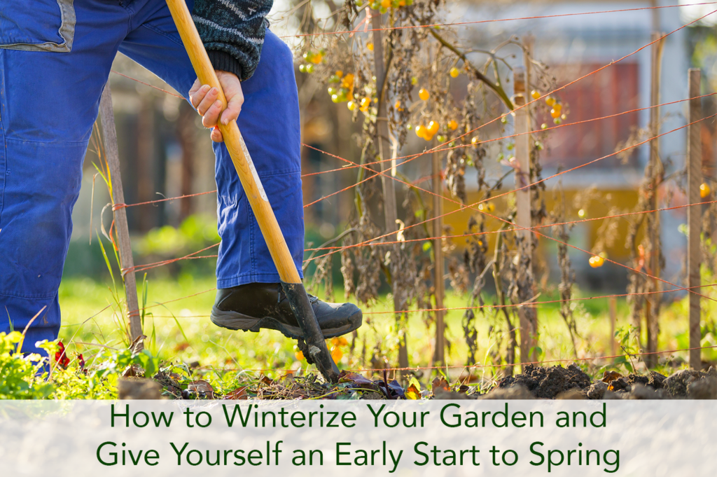 How to Winterize Your Garden and Give Yourself an Early Start to Spring